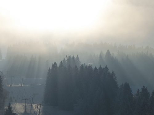 Schattierung am Grafenmatt