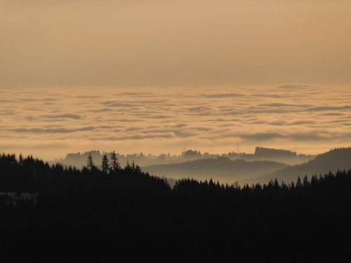 erste Sonnenstrahlen über dem Schwarzwald, wahrscheinlich auf für die nächste Zeit die letzten