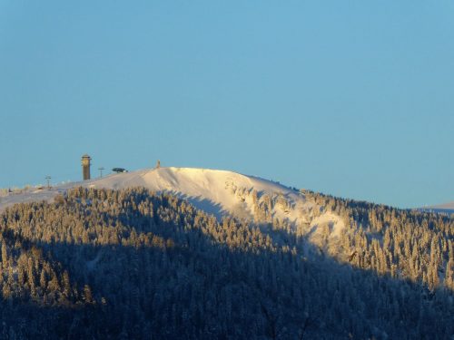 Seebuck im Sonnenaufgang