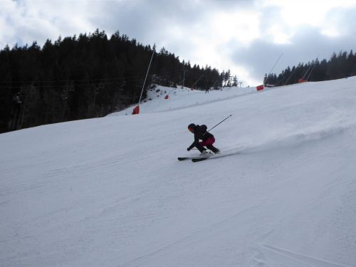 Carving FIS