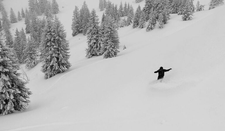 Vico Torriani Zwei Spuren Im Schnee
